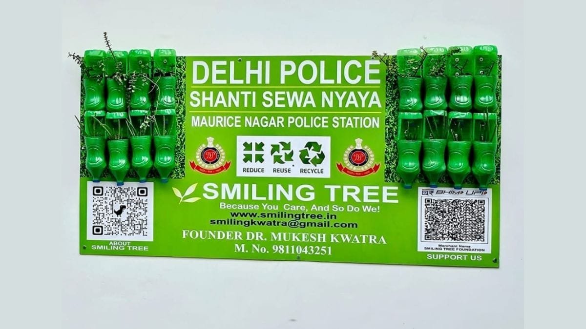 Smiling Tree